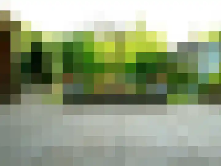 Kaneelveld 7 Veghel thumbnail 5