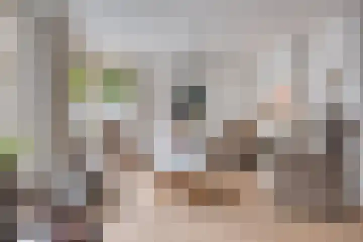 Kaneelveld 7 Veghel thumbnail 8