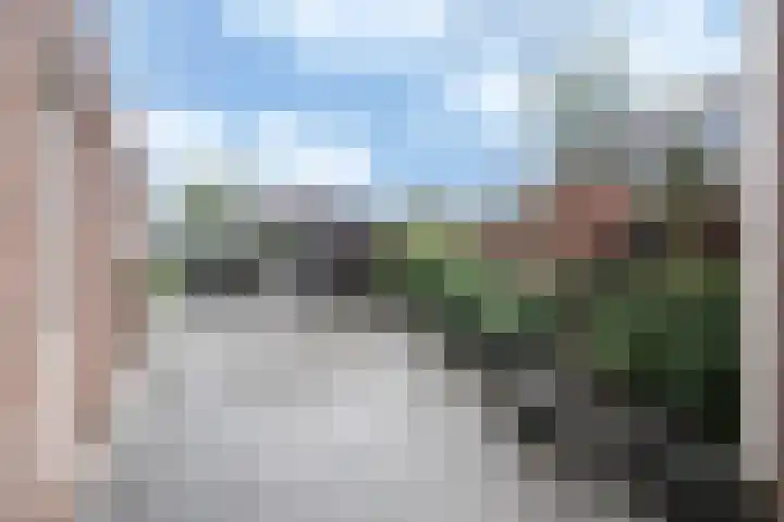 Kanestede 26 Zegge thumbnail 20