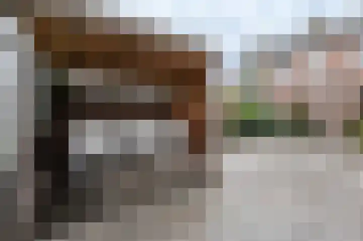 Kanestede 26 Zegge thumbnail 21
