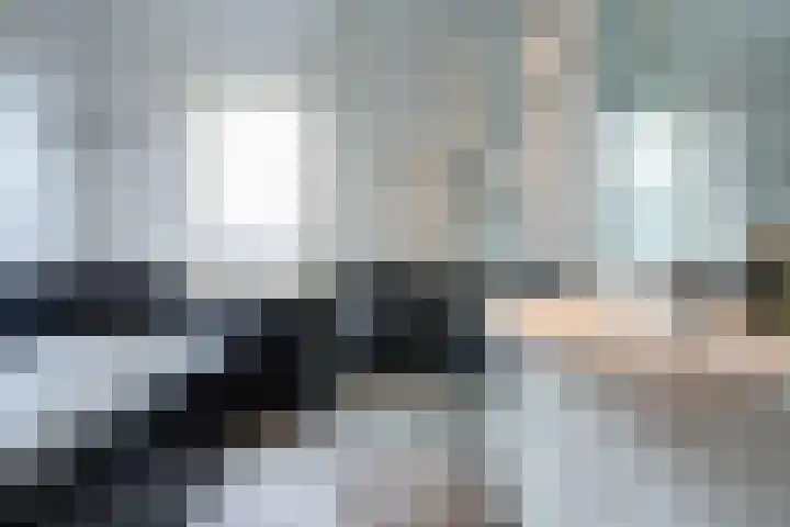 Kanestede 26 Zegge thumbnail 31