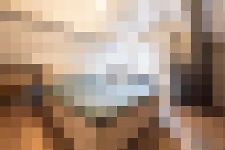 Kanestede 26 Zegge thumbnail 34