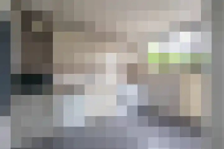 Kanestede 27 Zegge thumbnail 14