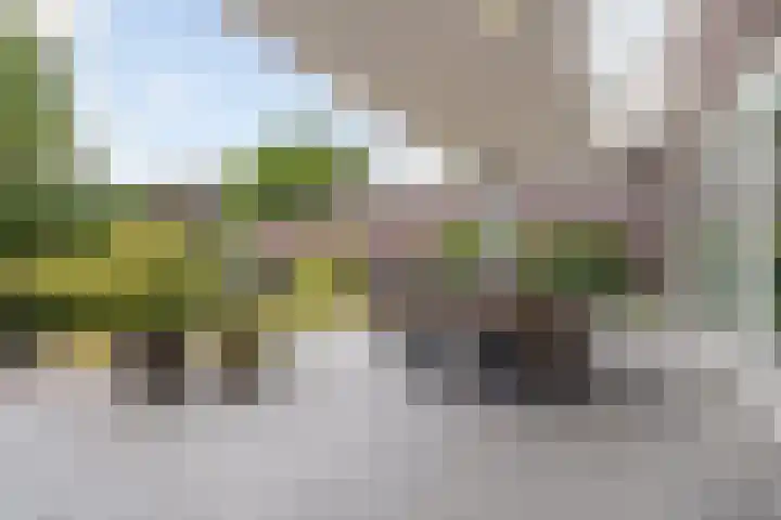 Kanestede 27 Zegge thumbnail 16