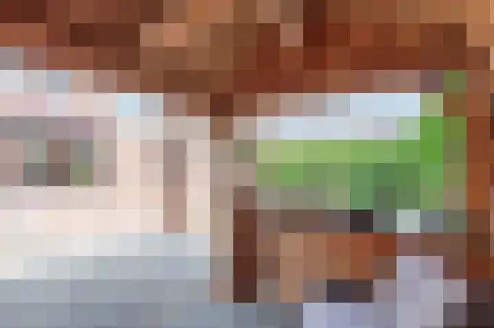 Kanestede 27 Zegge thumbnail 20