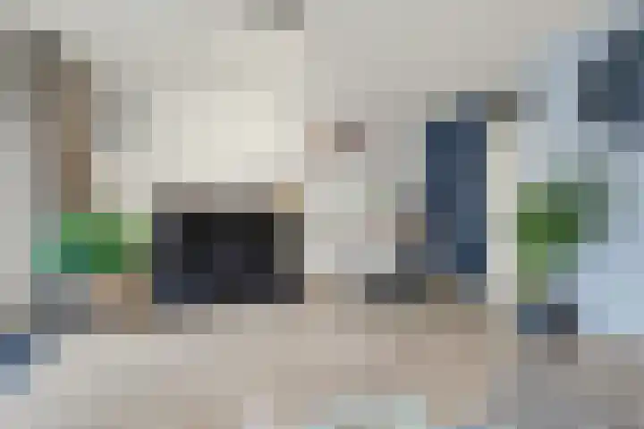 Kanestede 27 Zegge thumbnail 26