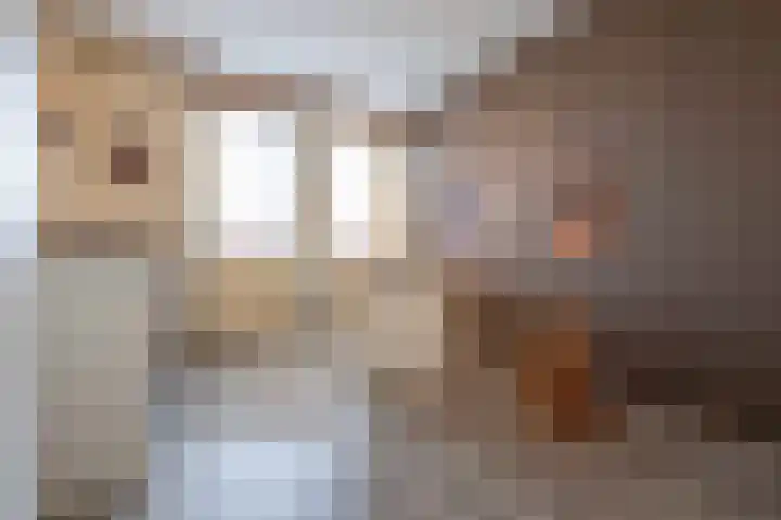 Kanestede 27 Zegge thumbnail 29