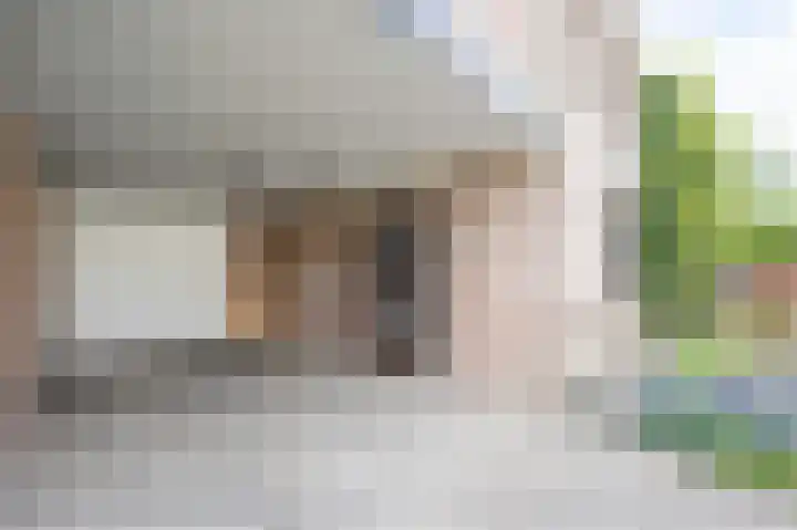 Kanestede 27 Zegge thumbnail 4