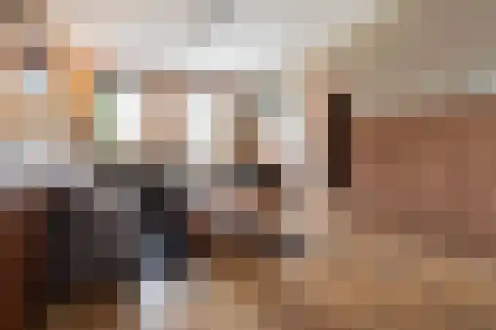 Kanestede 27 Zegge thumbnail 8