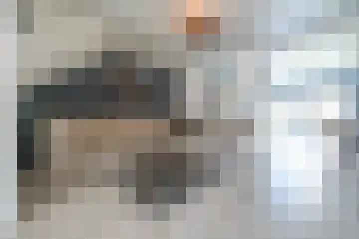 Kanestede 5 Zegge thumbnail 11