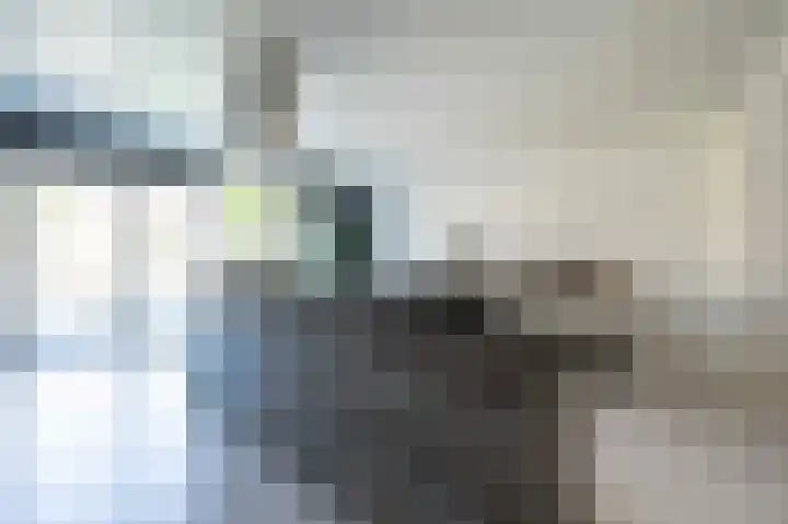 Kanestede 5 Zegge thumbnail 18
