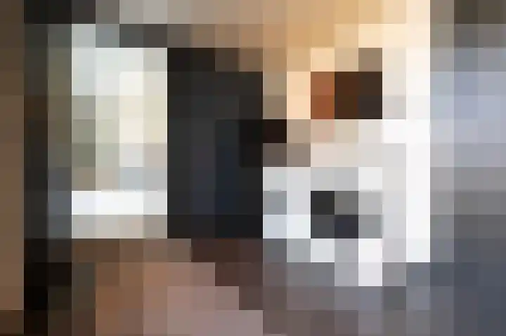 Kanestede 5 Zegge thumbnail 21