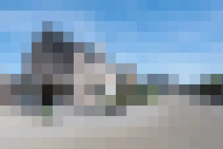 Kanestede 5 Zegge thumbnail 4