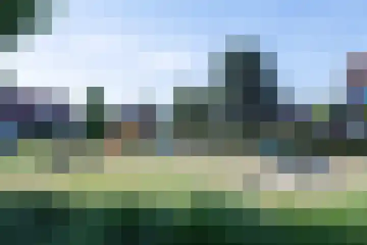 Kanestede 5 Zegge thumbnail 5