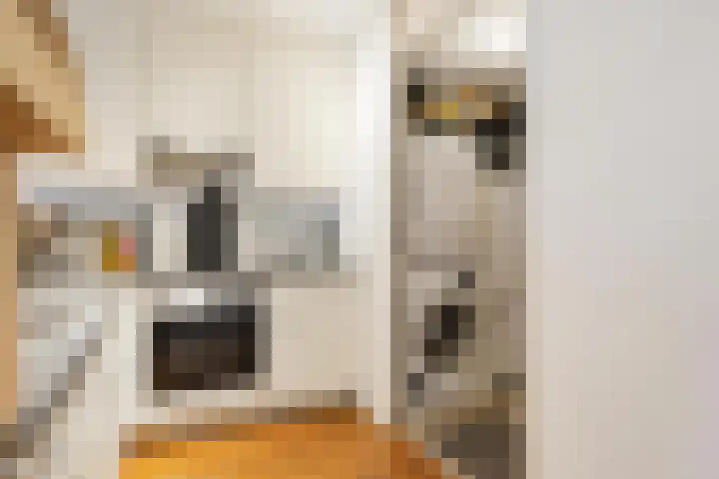 Kangoeroestraat 21 Breda thumbnail 14