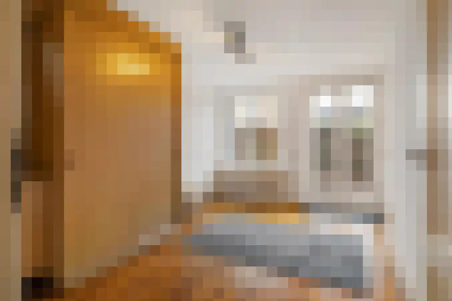 Kangoeroestraat 21 Breda thumbnail 17