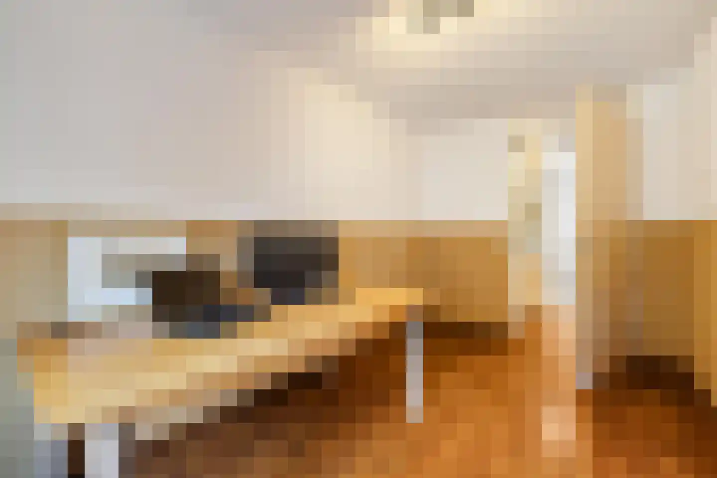 Kangoeroestraat 21 Breda thumbnail 21