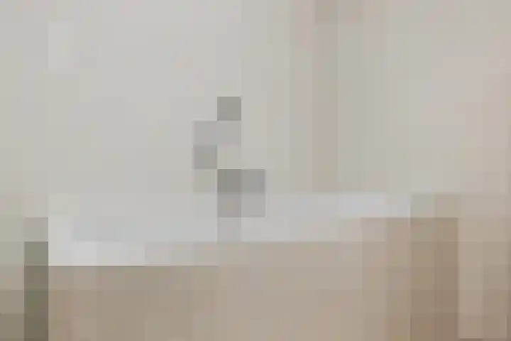 Kangoeroestraat 21 Breda thumbnail 24