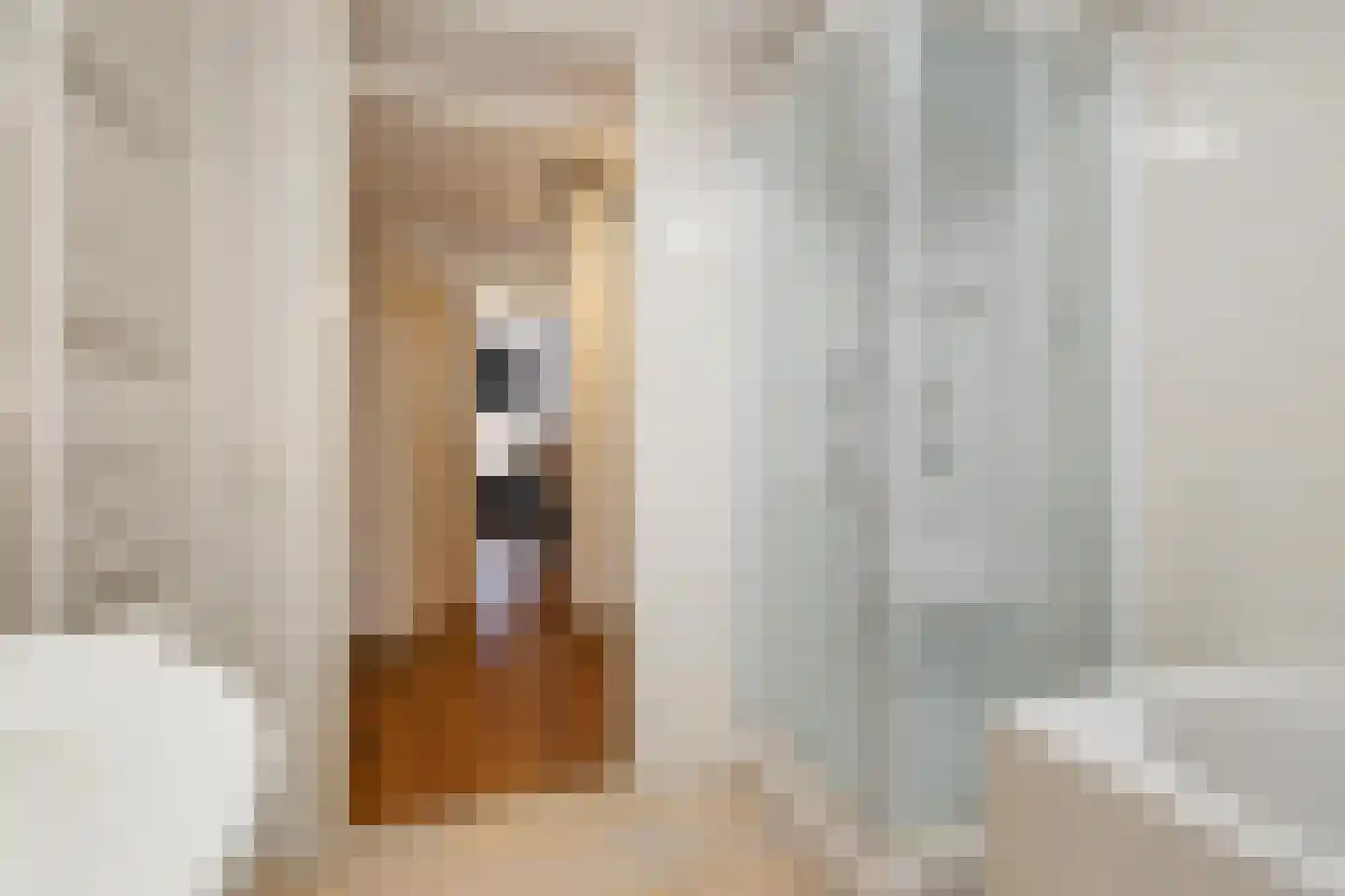 Kangoeroestraat 21 Breda thumbnail 26