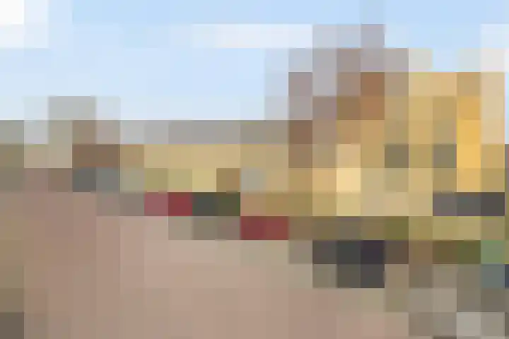 Kangoeroestraat 21 Breda thumbnail 33