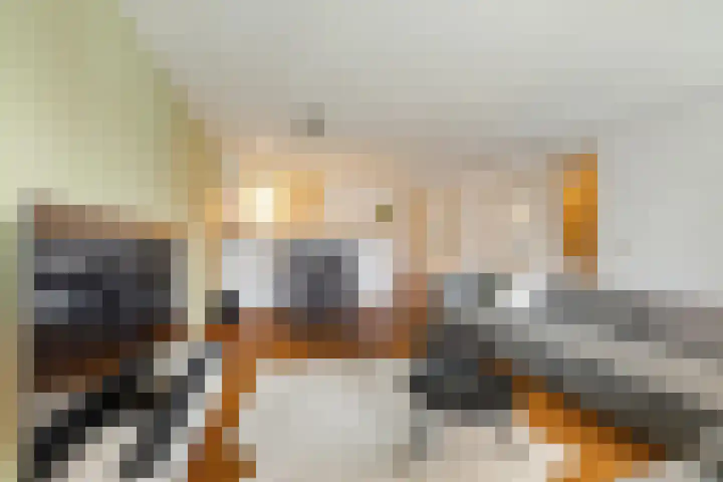 Kangoeroestraat 21 Breda thumbnail 9