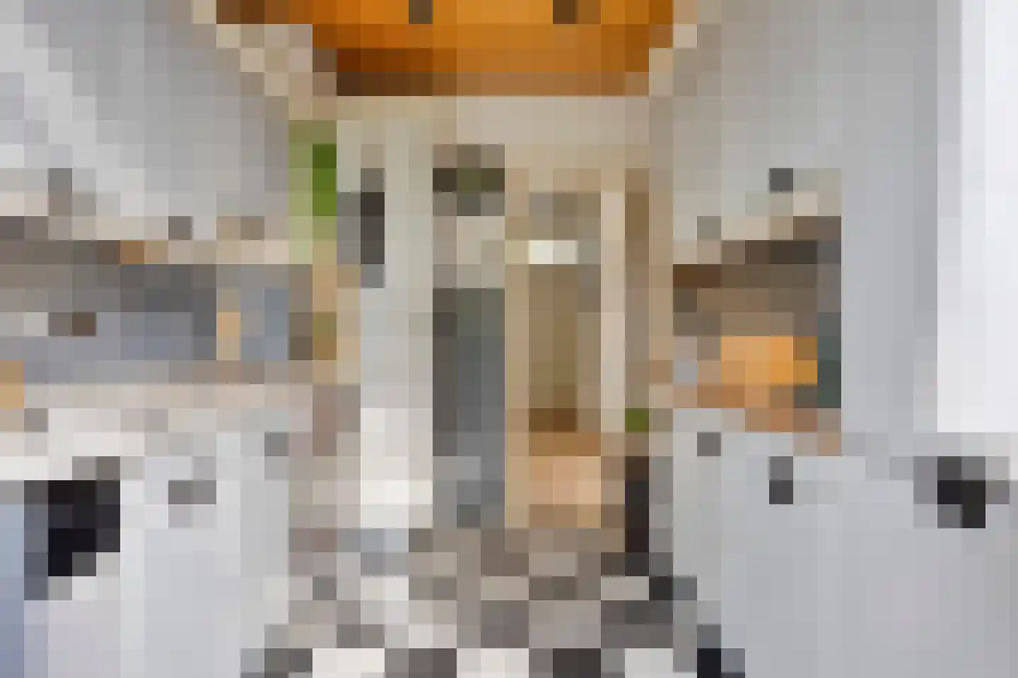 Kangoeroestraat 3 Nijmegen thumbnail 10