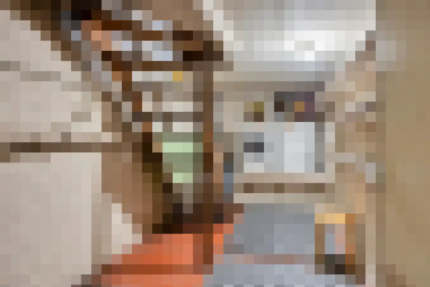 Kangoeroestraat 3 Nijmegen thumbnail 12