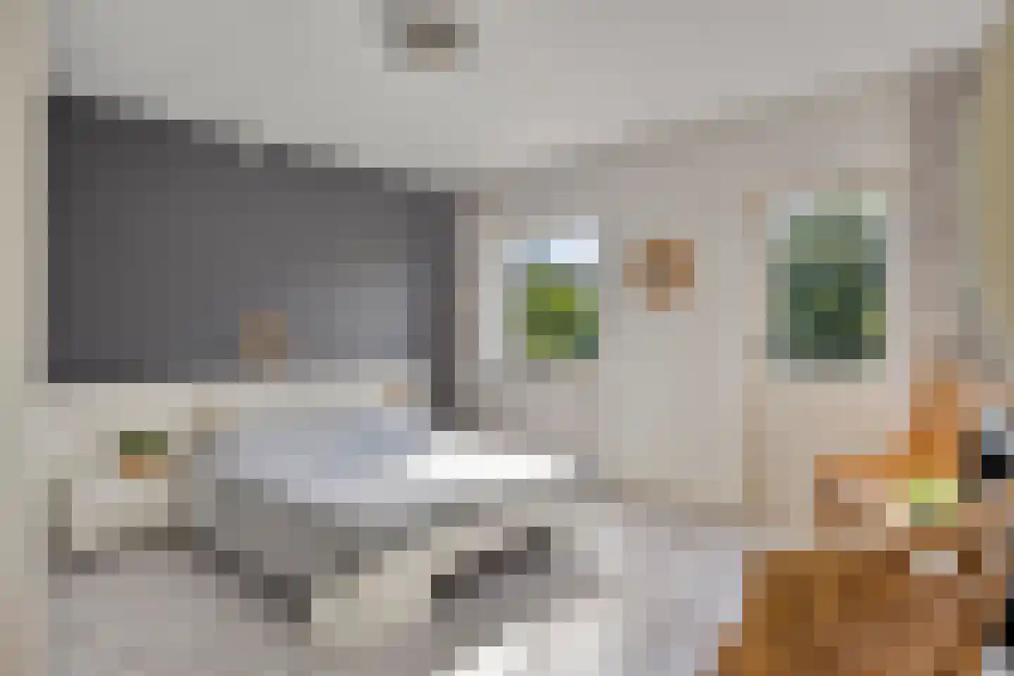Kangoeroestraat 3 Nijmegen thumbnail 17
