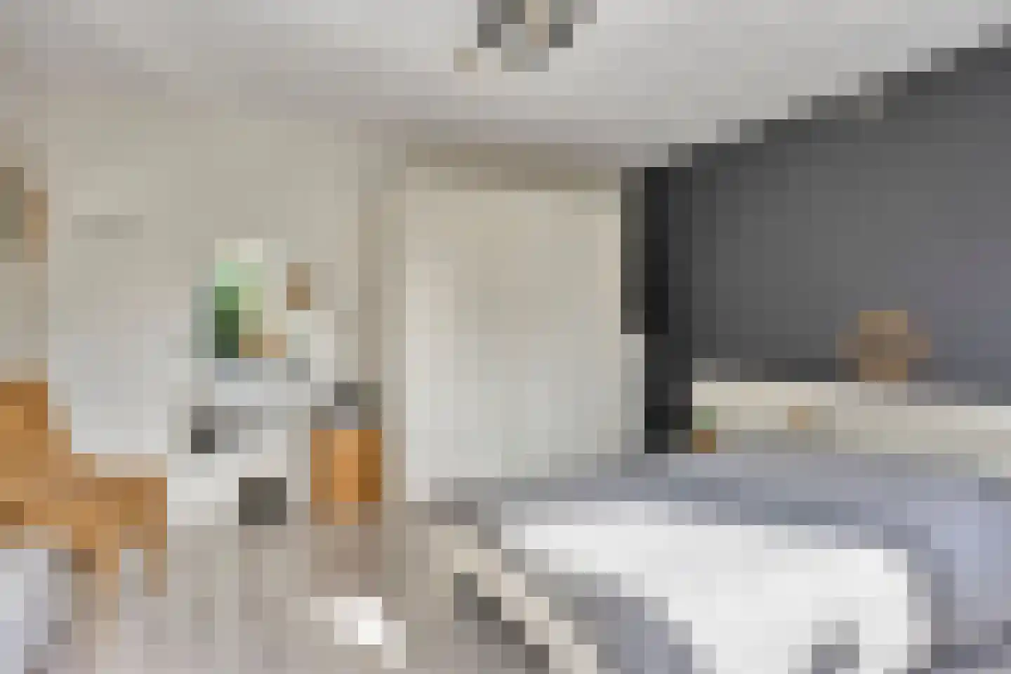 Kangoeroestraat 3 Nijmegen thumbnail 18