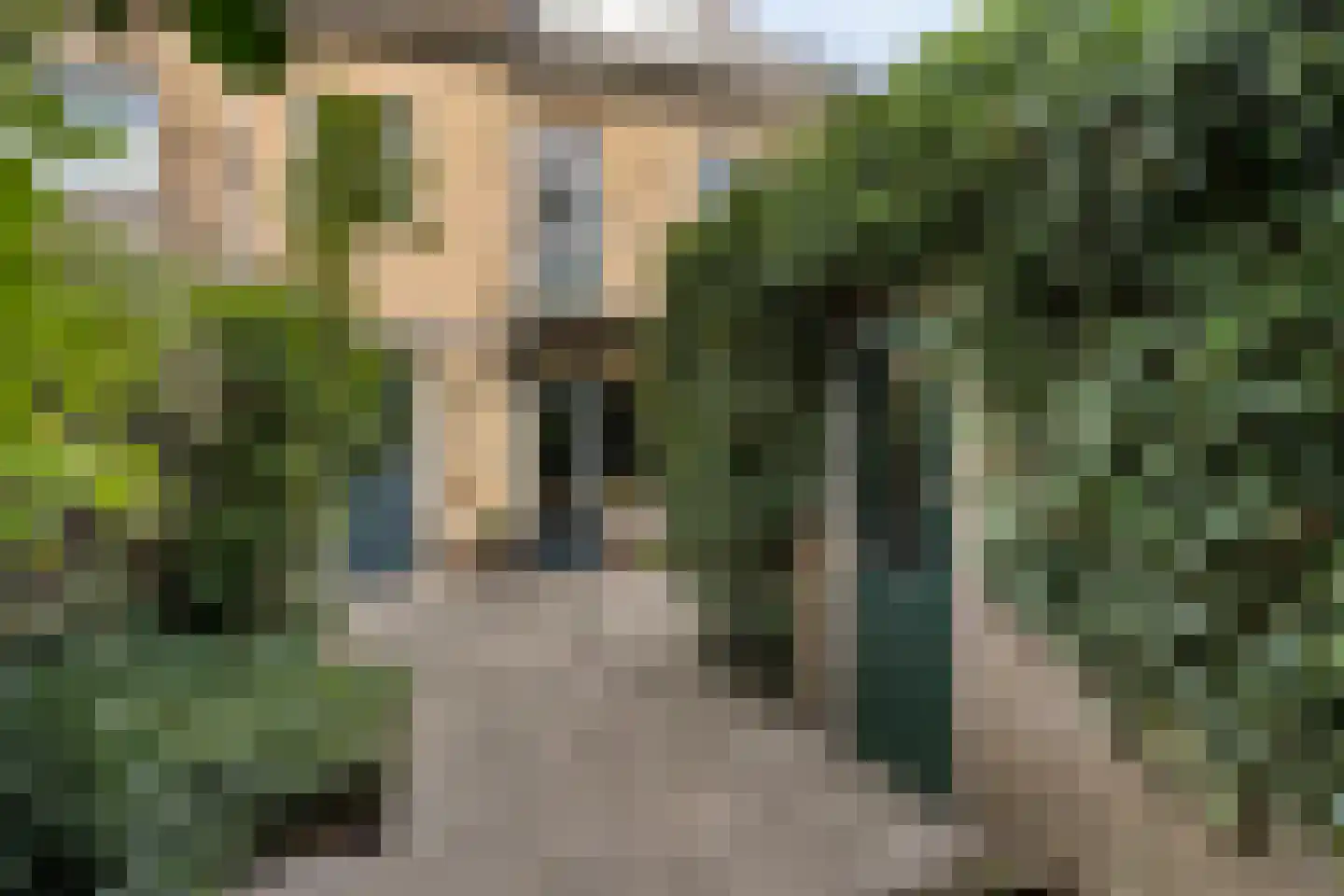 Kangoeroestraat 3 Nijmegen thumbnail 26