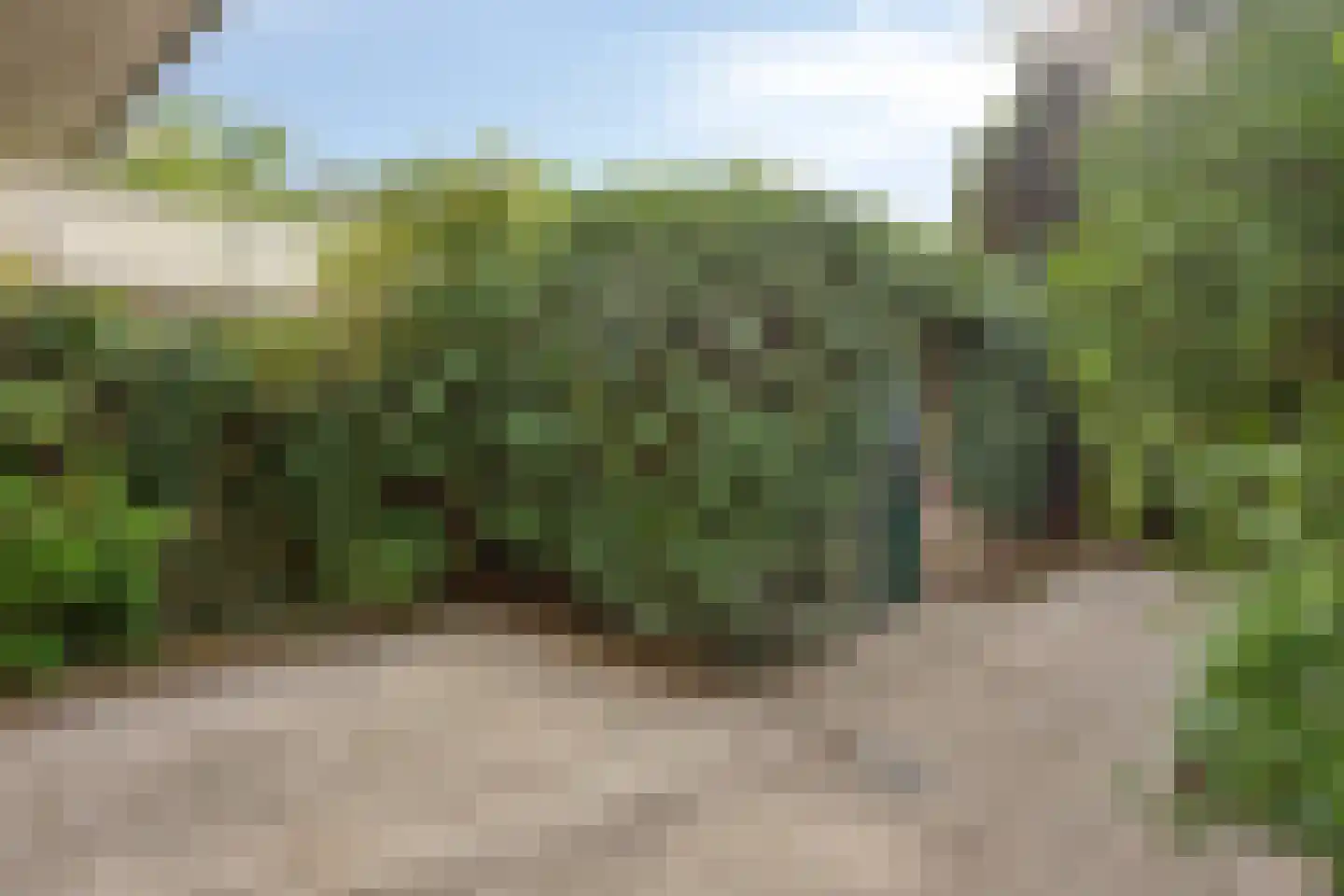 Kangoeroestraat 3 Nijmegen thumbnail 27