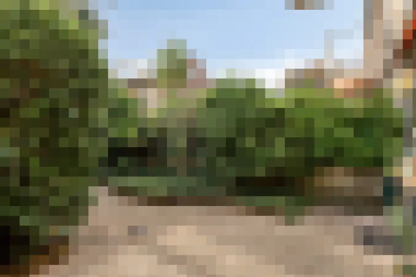 Kangoeroestraat 3 Nijmegen thumbnail 28