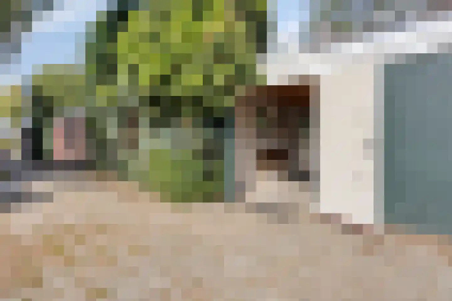 Kangoeroestraat 3 Nijmegen thumbnail 31