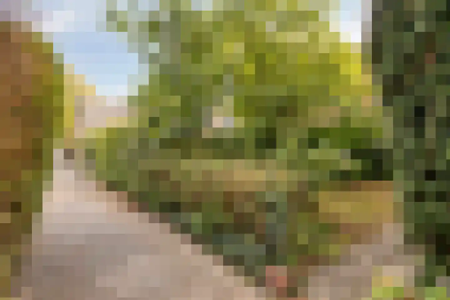 Kangoeroestraat 3 Nijmegen thumbnail 32