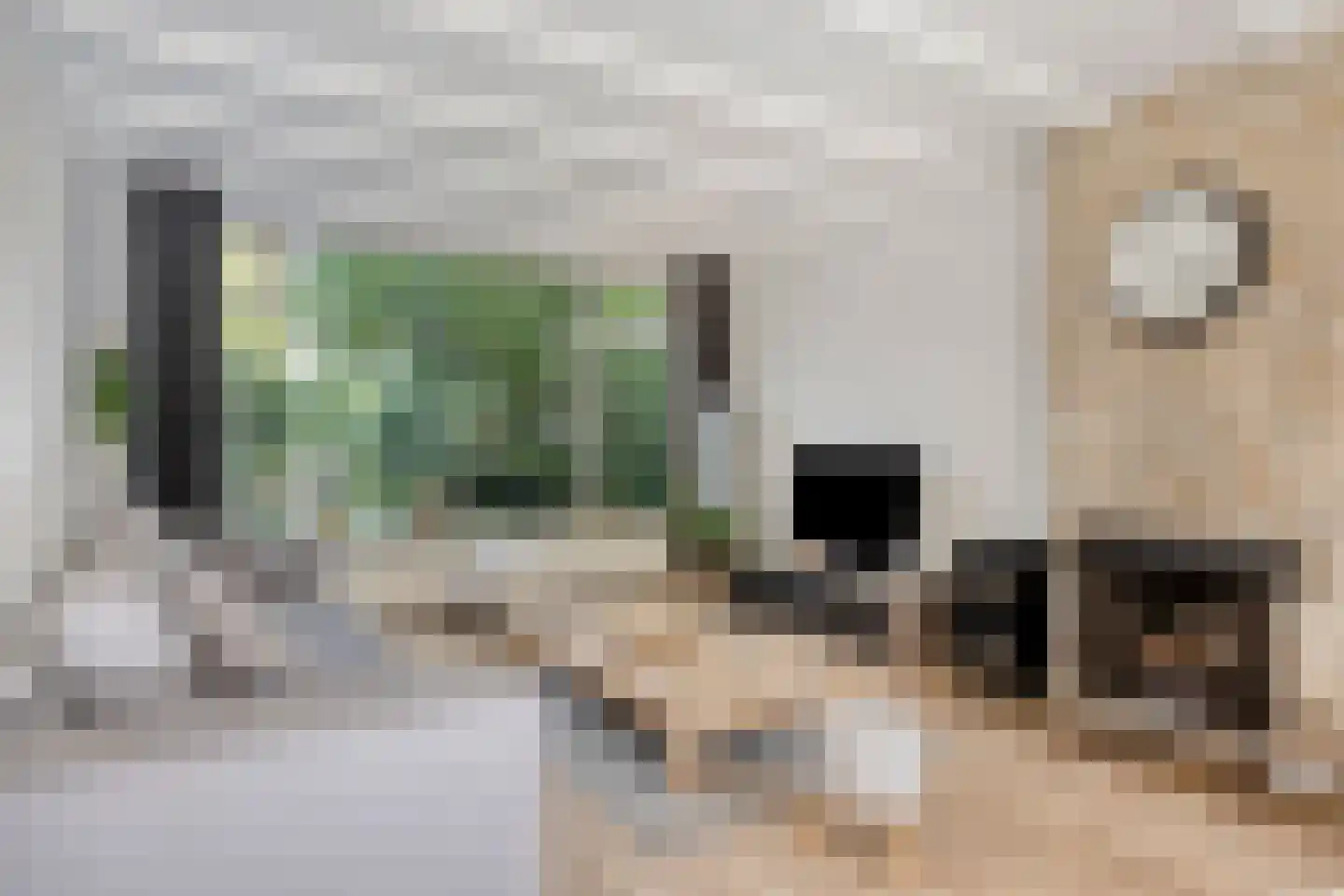 Kangoeroestraat 3 Nijmegen thumbnail 6