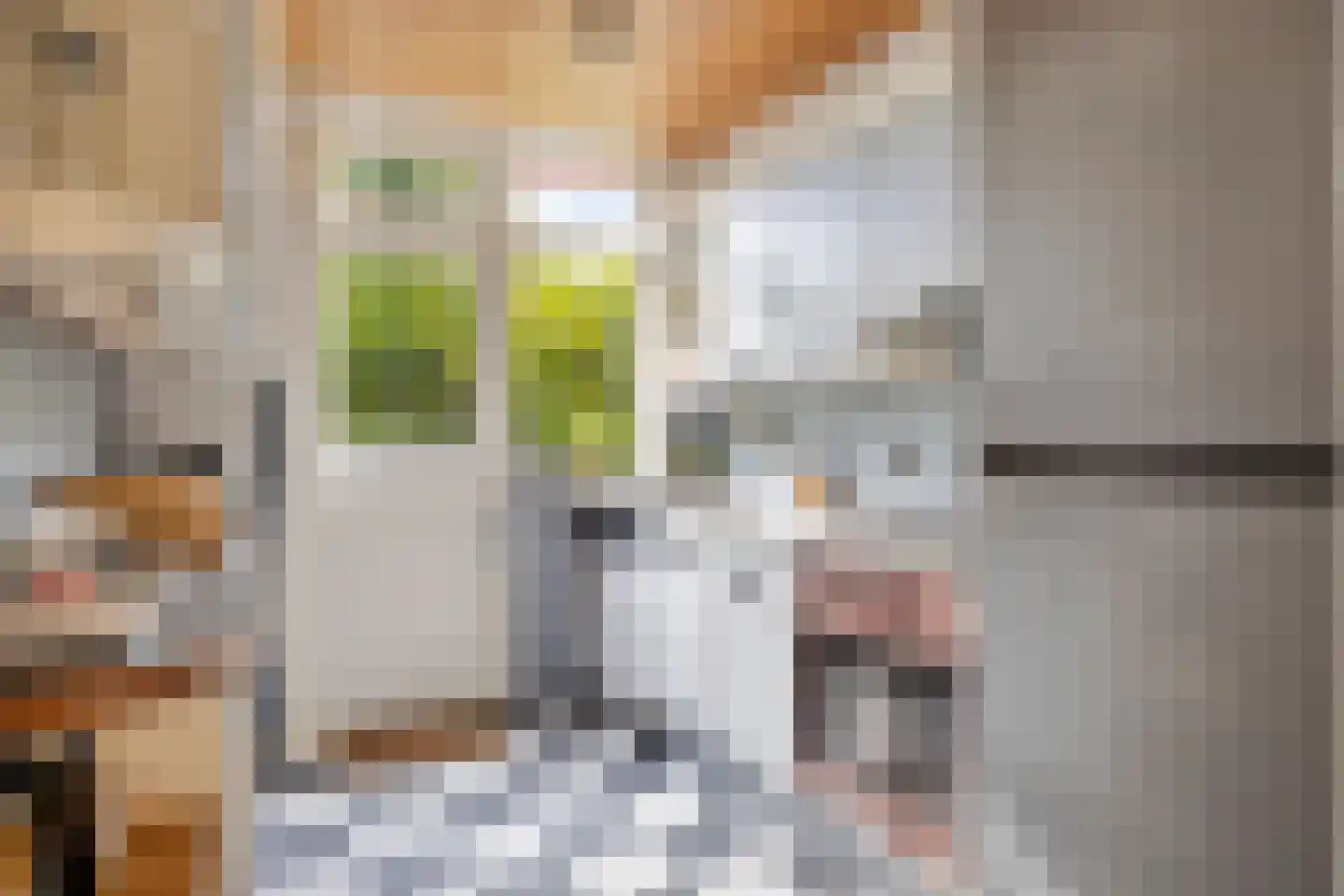 Kangoeroestraat 3 Nijmegen thumbnail 9