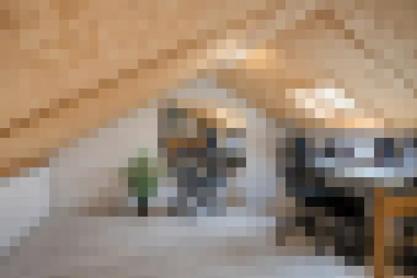 Kangoeroestraat 57 Breda thumbnail 30