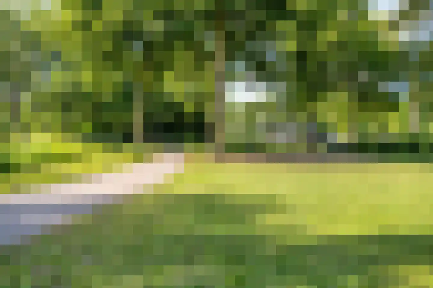 Kangoeroestraat 57 Breda thumbnail 37
