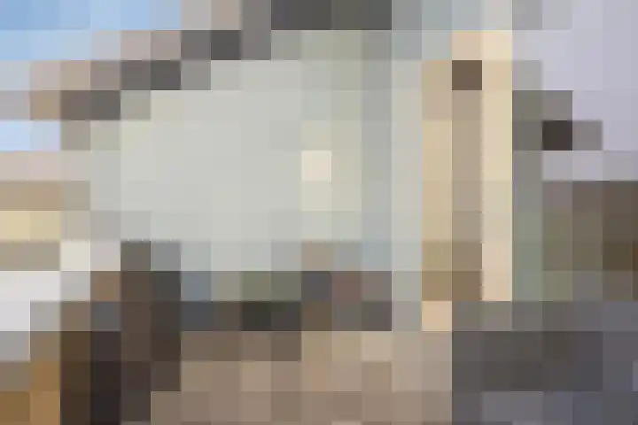 Kangoeroestraat 59 Breda thumbnail 31