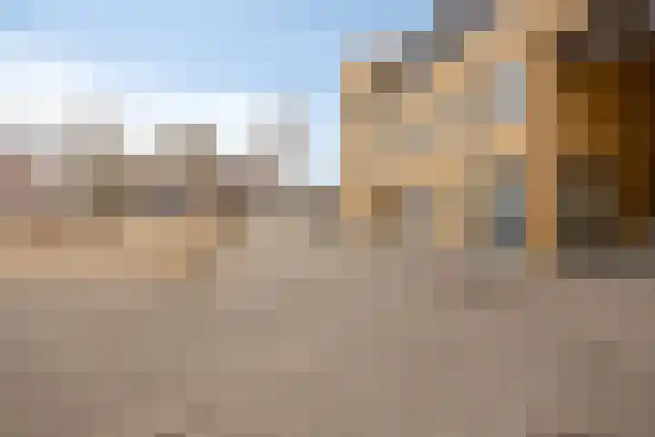 Kangoeroestraat 59 Breda thumbnail 36