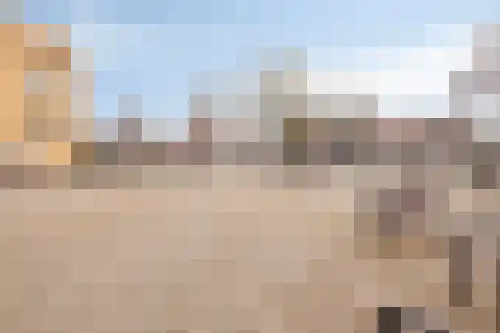 Kangoeroestraat 59 Breda thumbnail 37