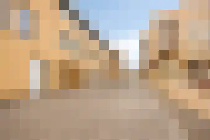 Kangoeroestraat 59 Breda thumbnail 6