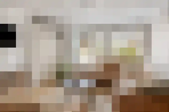 Kangoeroestraat 59 Breda thumbnail 8