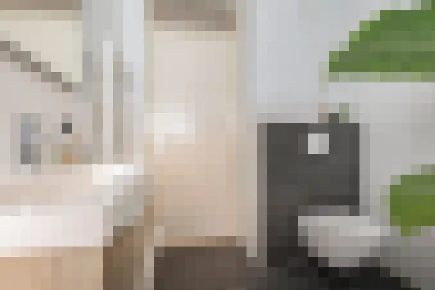 Kangoeroestraat 83 Breda thumbnail 17