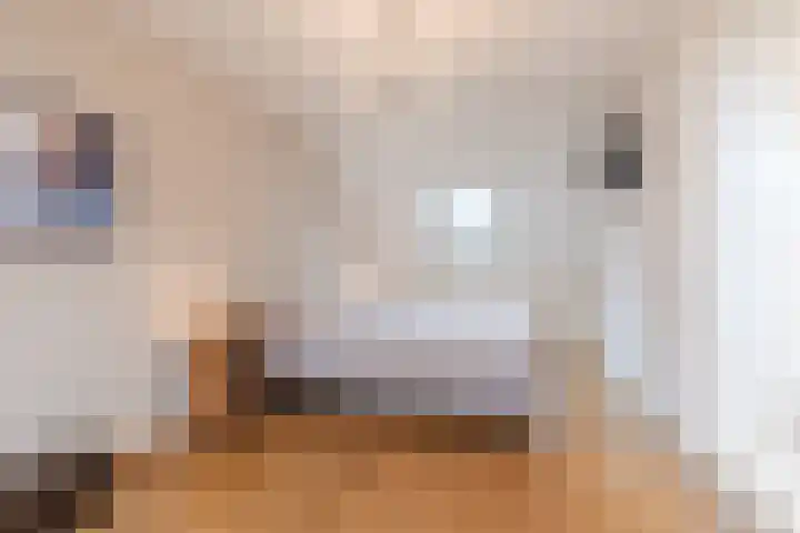 Kanhoeve 1 Sterksel thumbnail 18