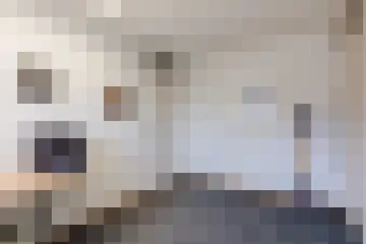 Kanhoeve 1 Sterksel thumbnail 22