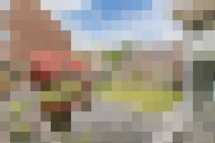 Kanhoeve 1 Sterksel thumbnail 28