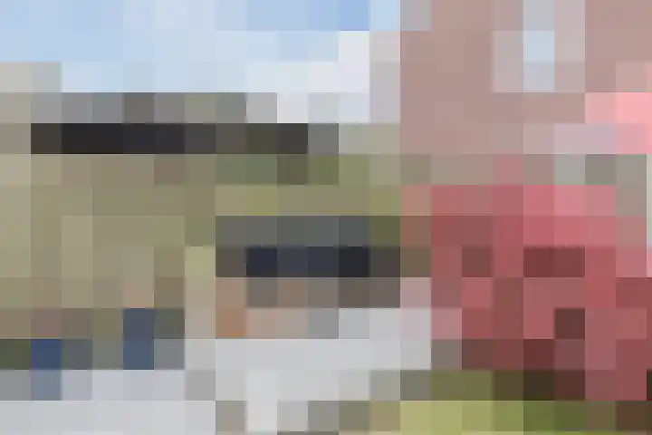 Kanhoeve 1 Sterksel thumbnail 30