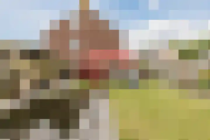 Kanhoeve 1 Sterksel thumbnail 32