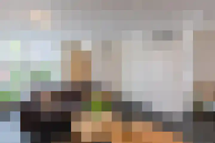 Kanhoeve 1 Sterksel thumbnail 9